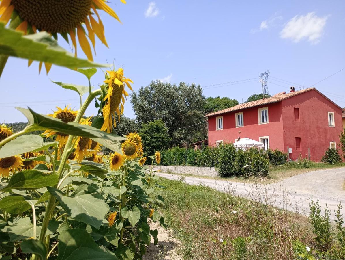 La Casa Rossa Bed & Breakfast Coiano Eksteriør bilde